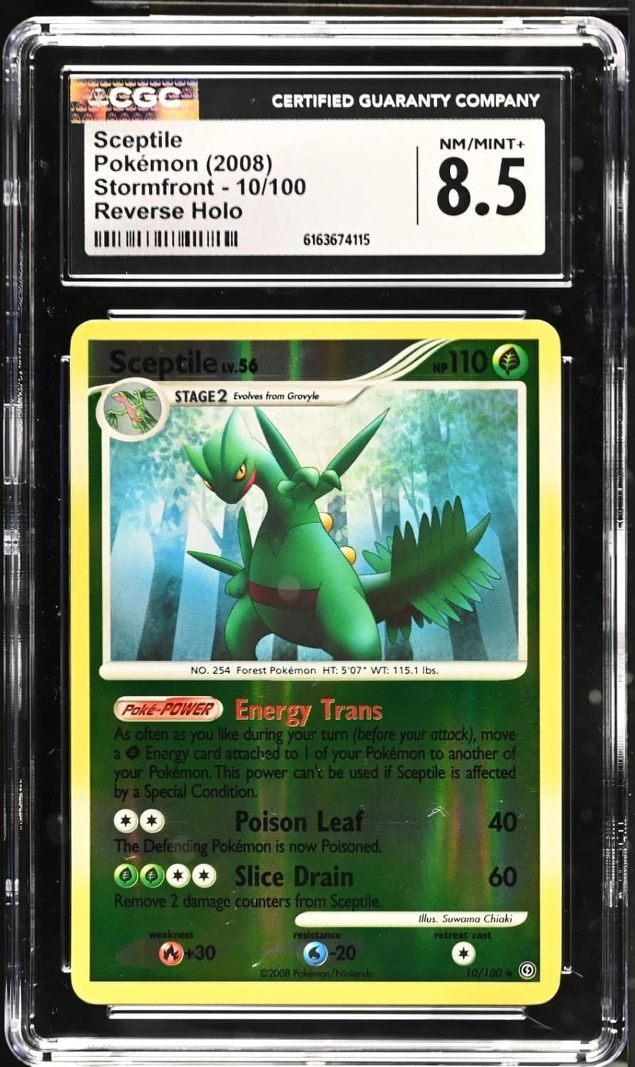 Sceptile