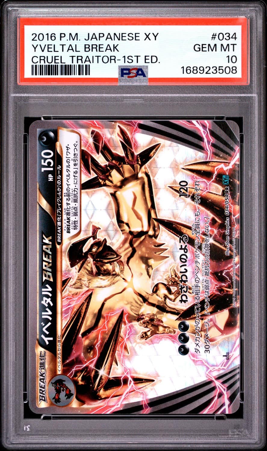 Yveltal Break
