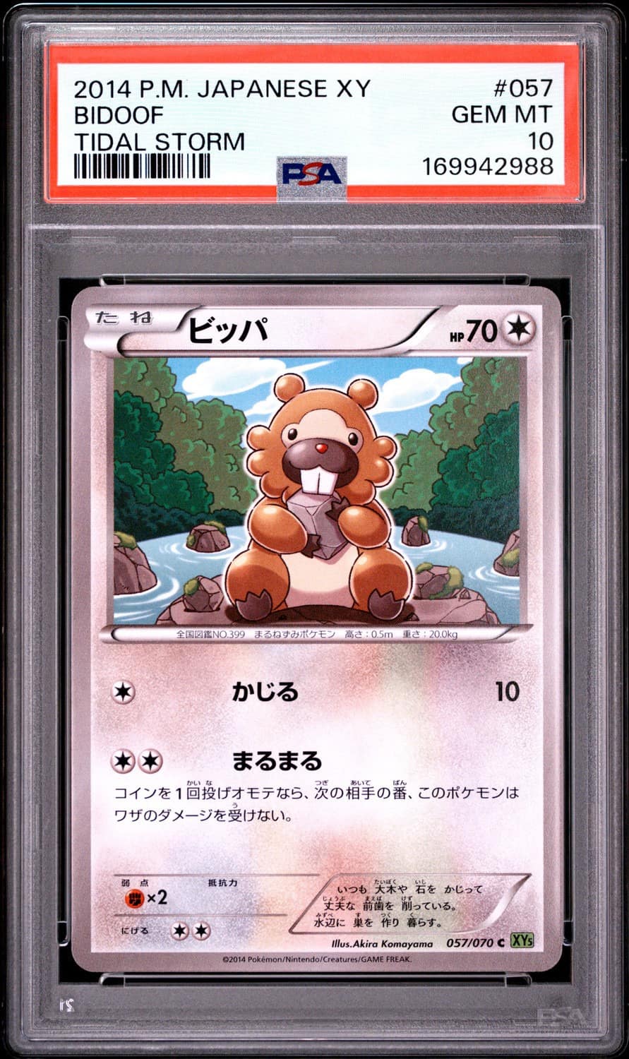 Bidoof