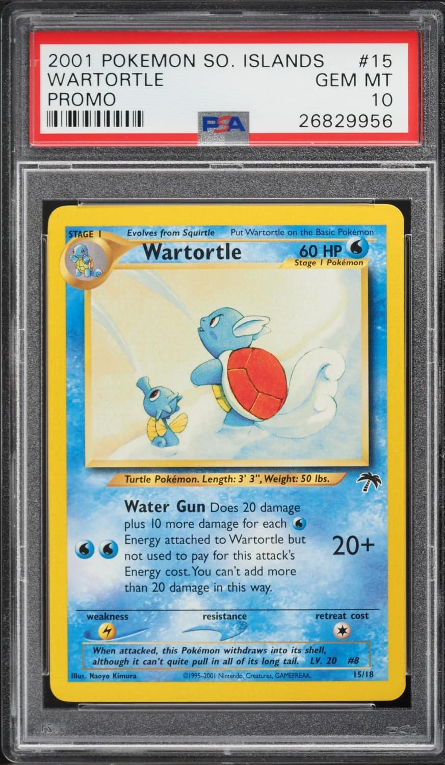 Wartortle