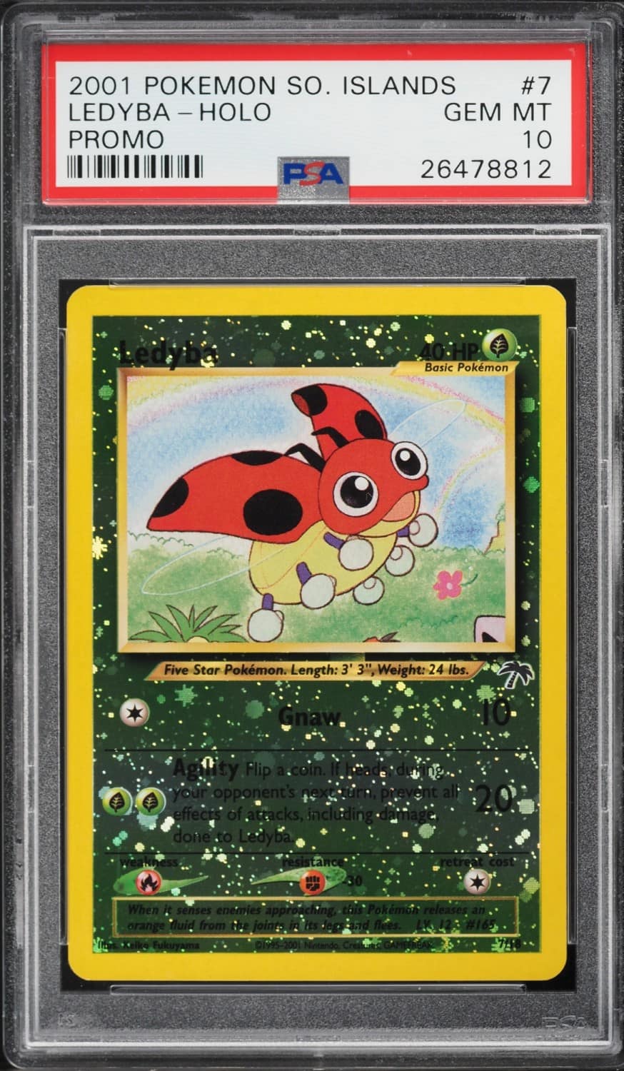 Ledyba