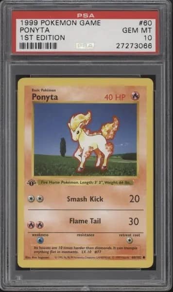 Ponyta