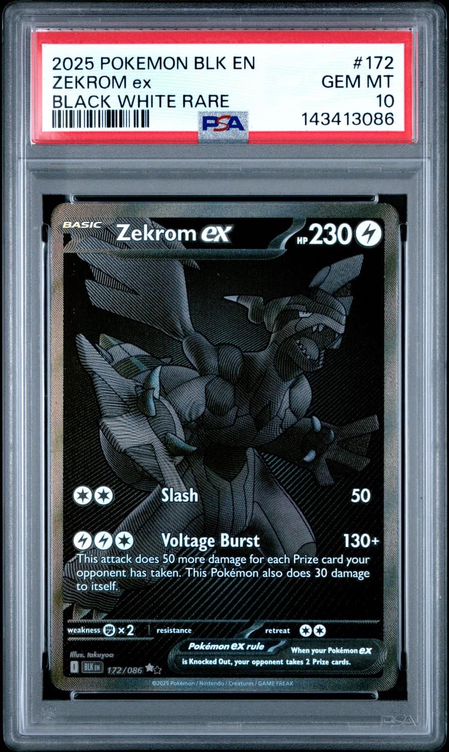 Zekrom Ex