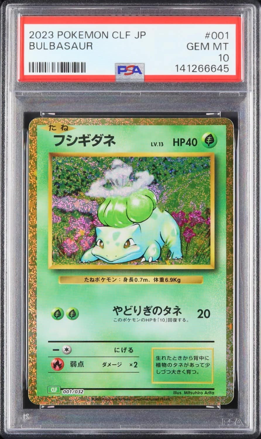 Squirtle