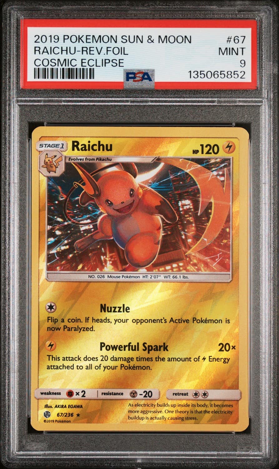 Raichu