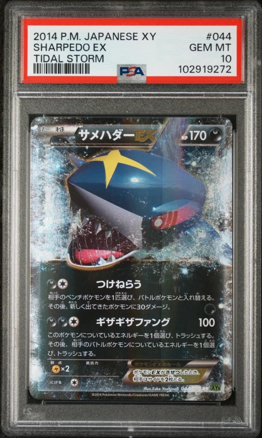 Sharpedo Ex