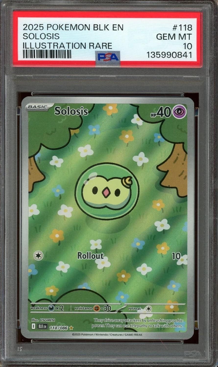 Solosis