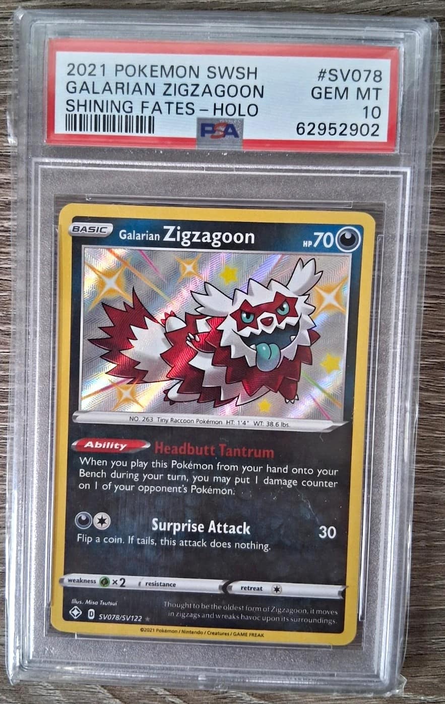 Galarian Zigzagoon