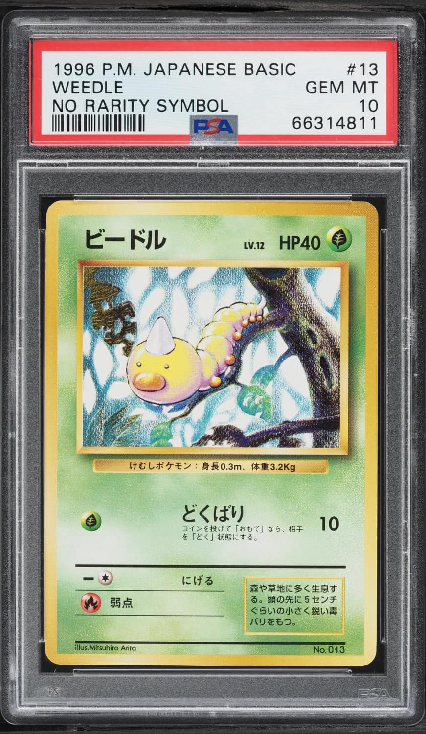 Weedle
