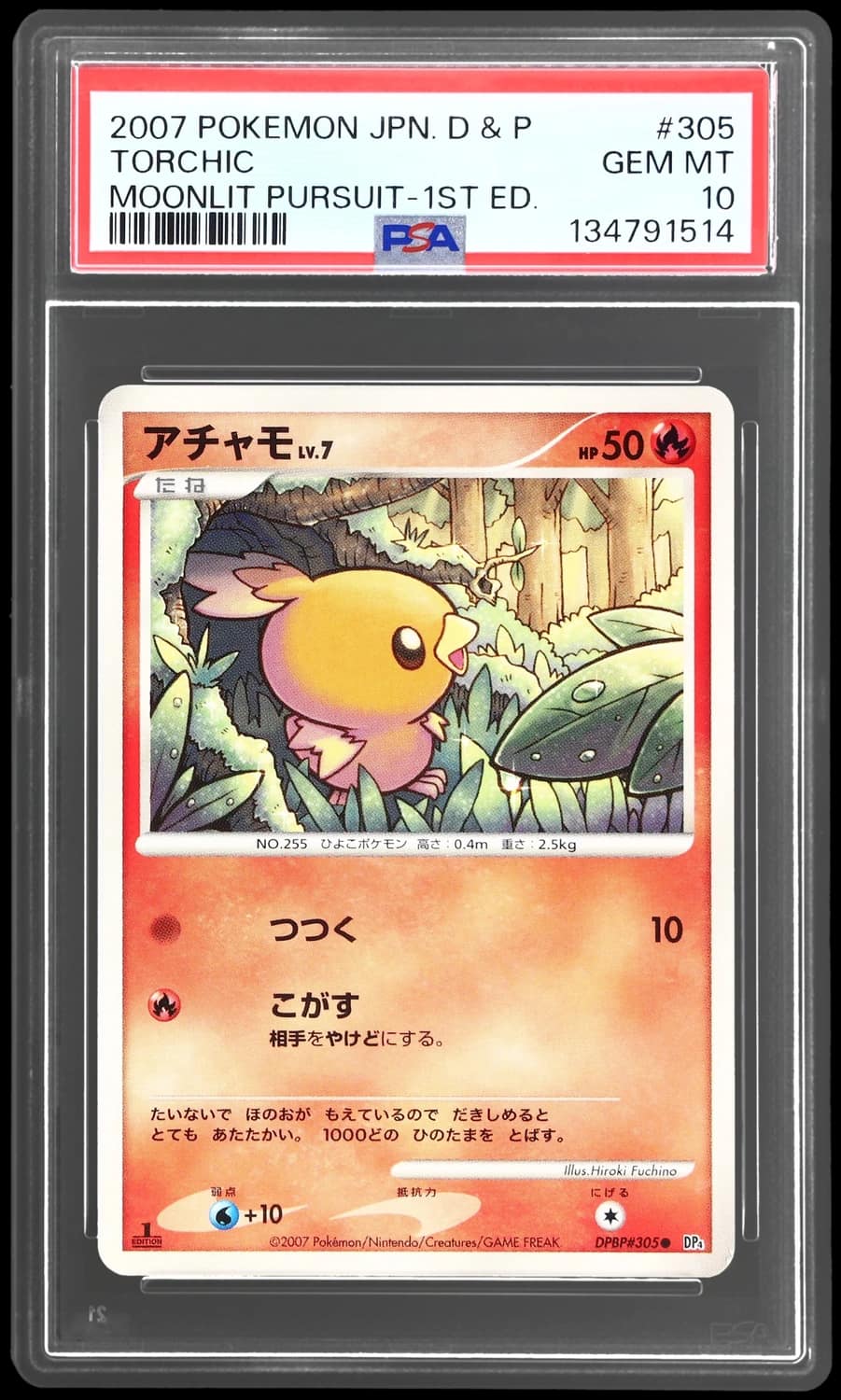 Torchic