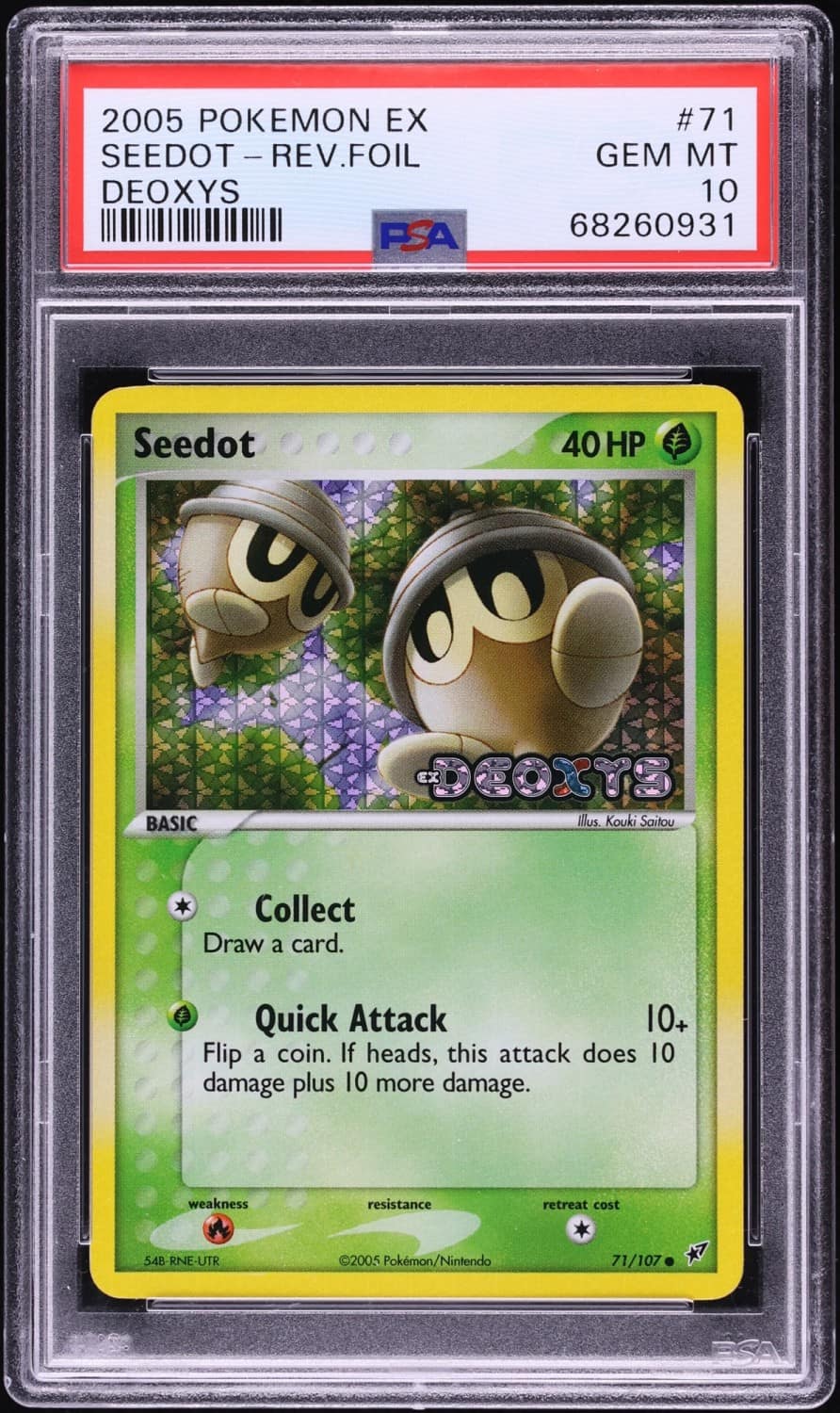 Seedot