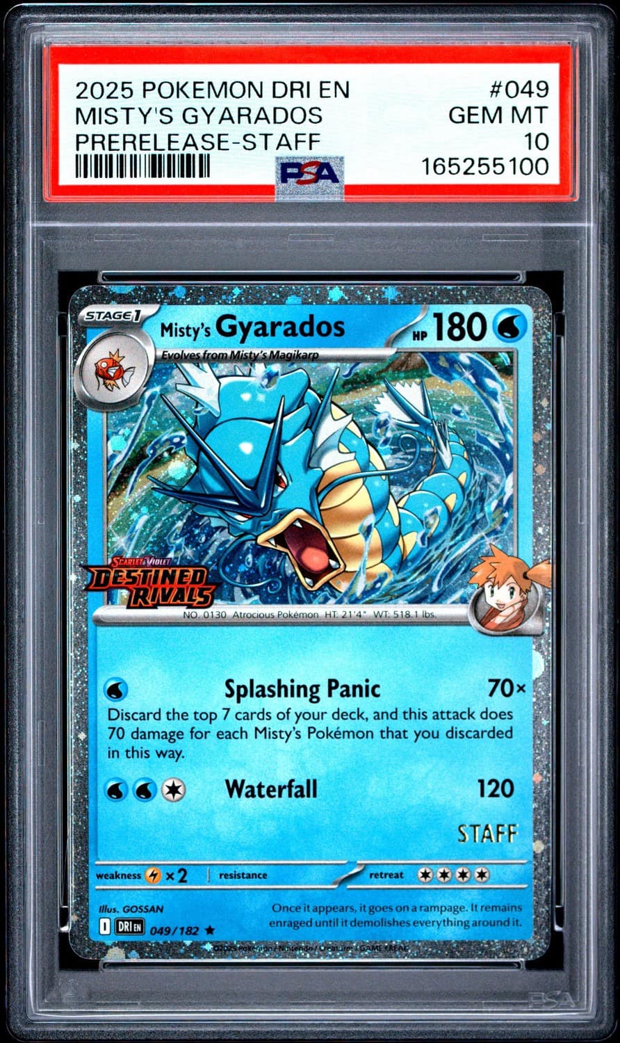 Misty'S Gyarados