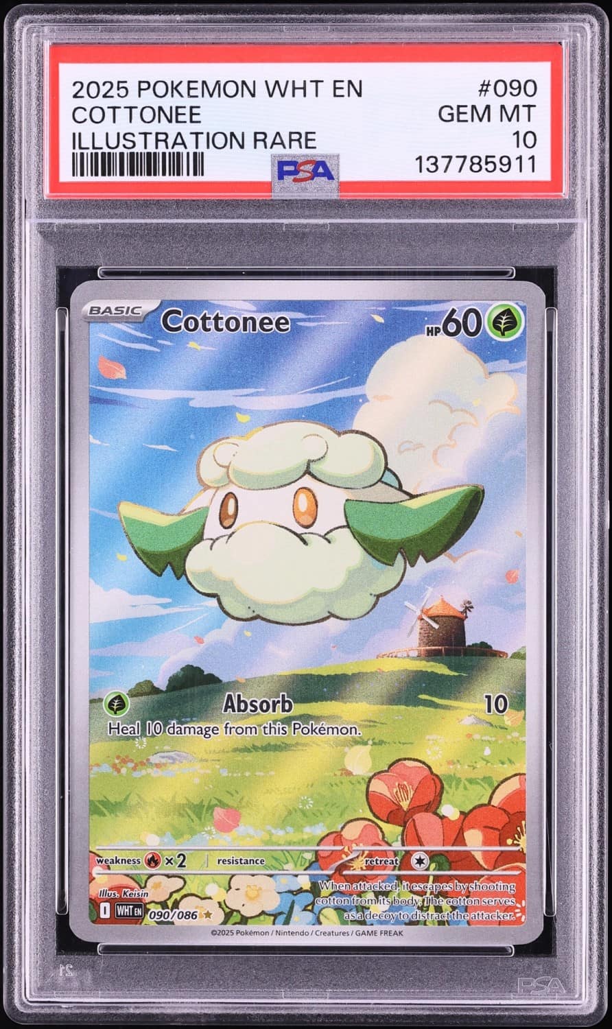 Cottonee