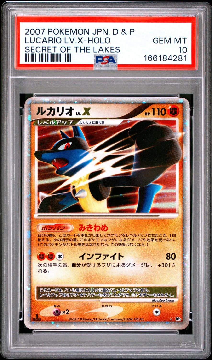 Lucario Lv X