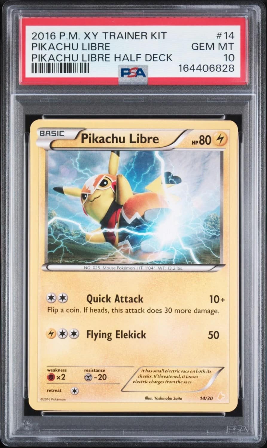 Pikachu Libre