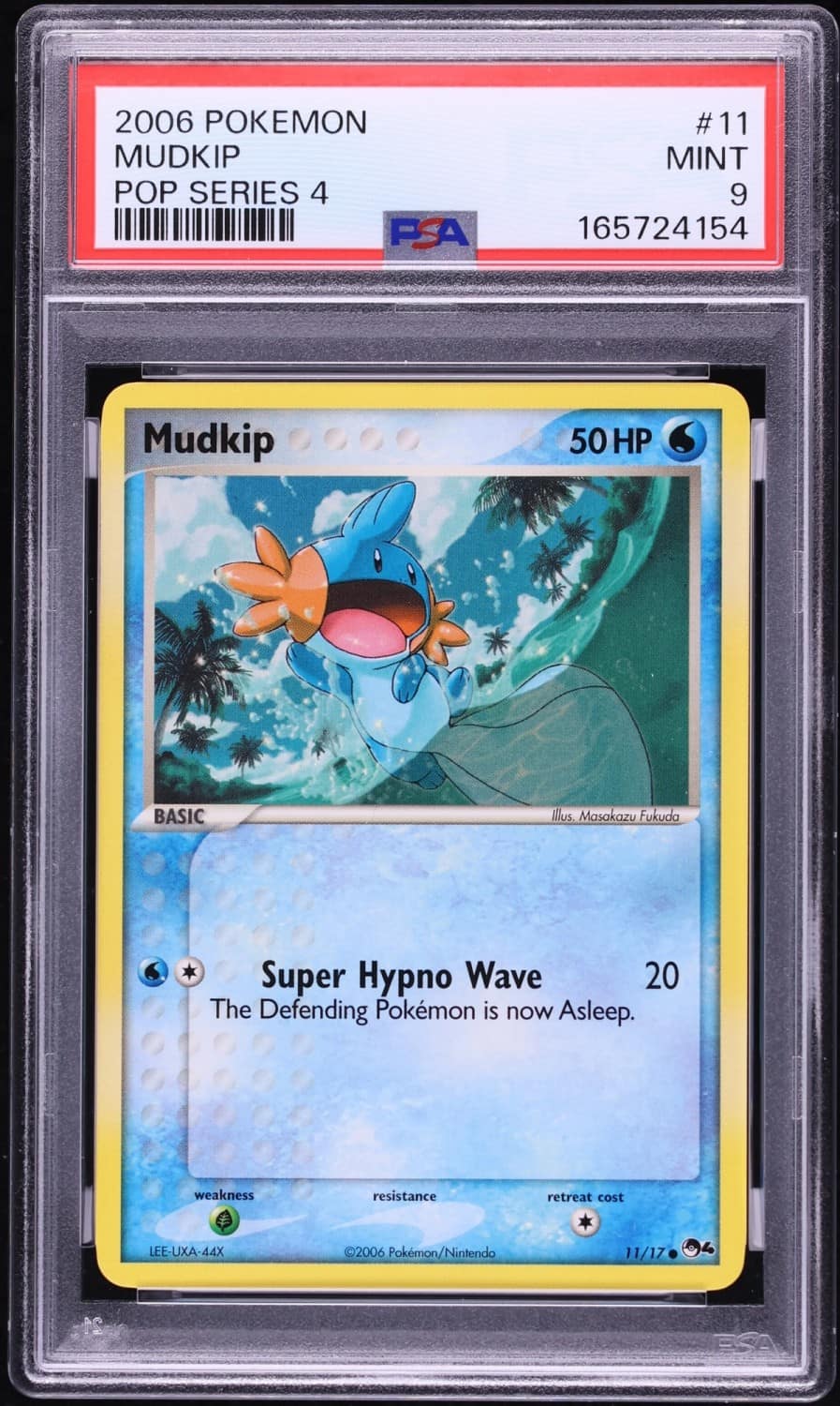 Mudkip