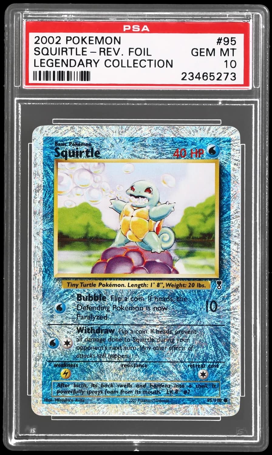 Squirtle