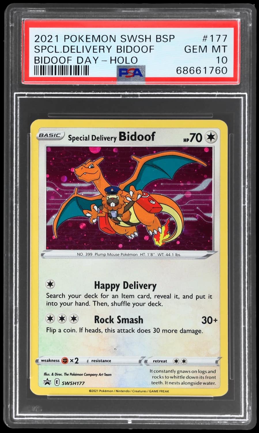 Special Delivery Bidoof