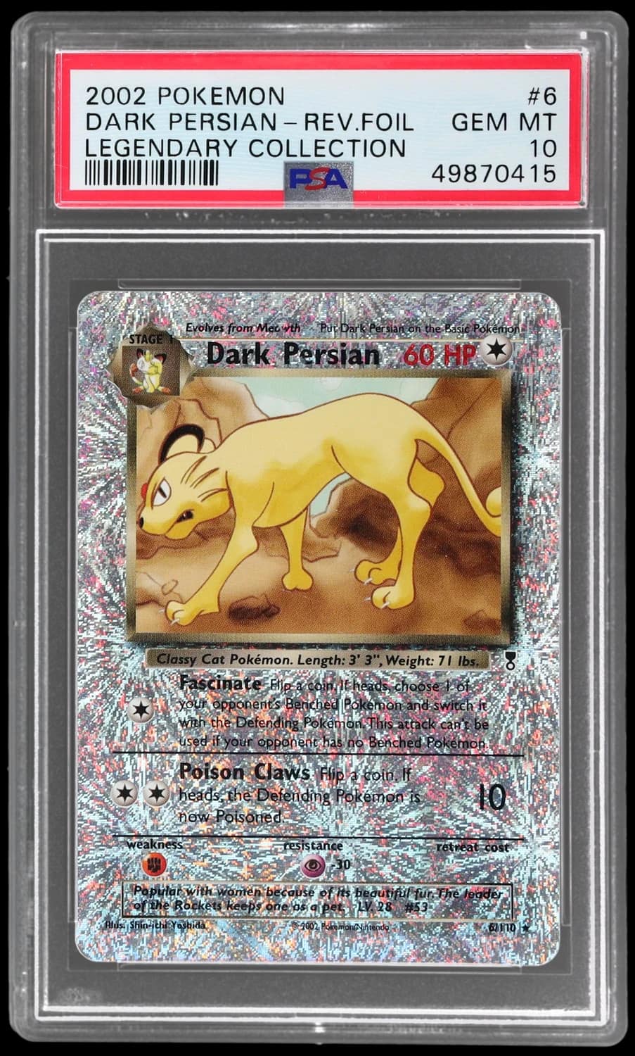 Dark Persian