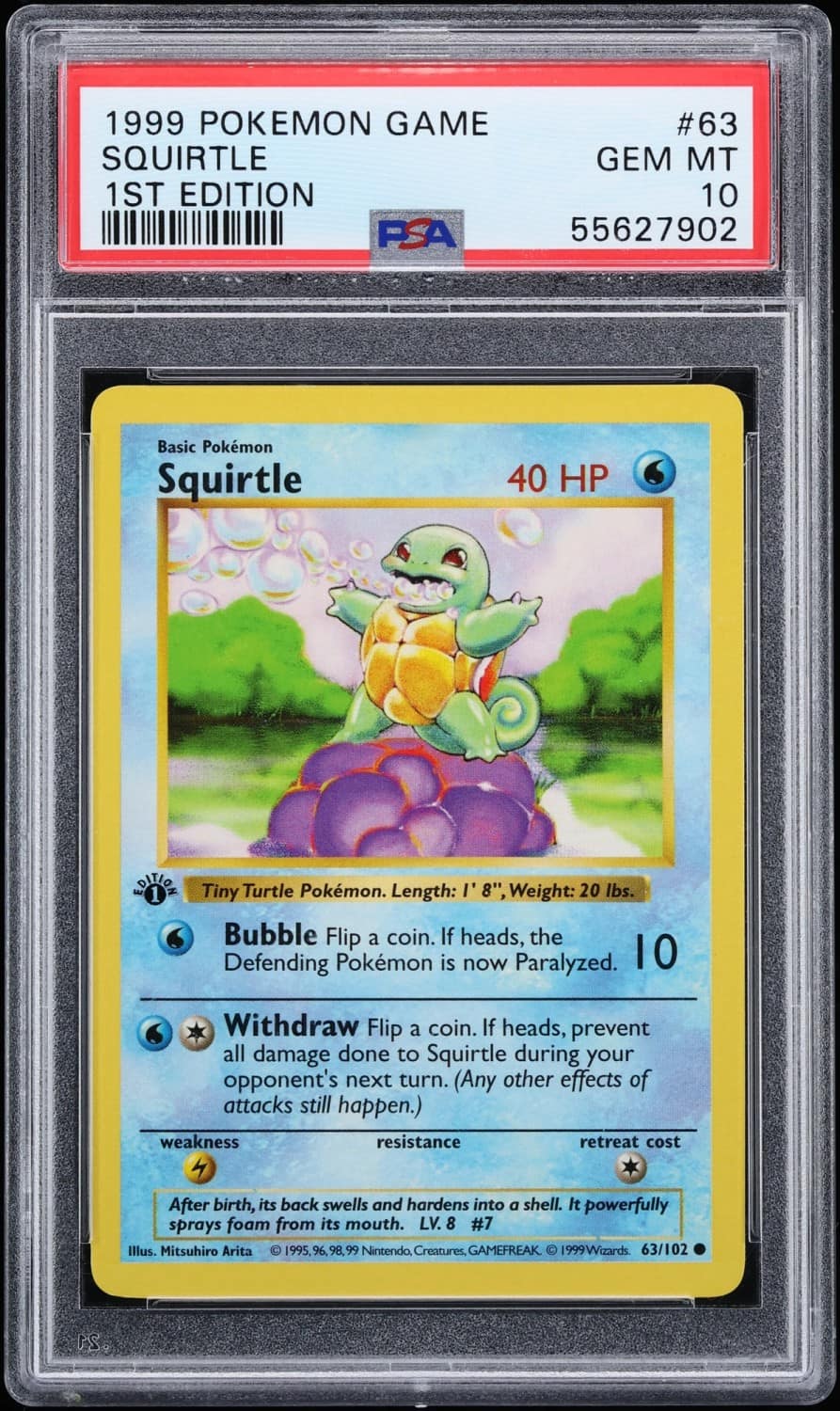Squirtle
