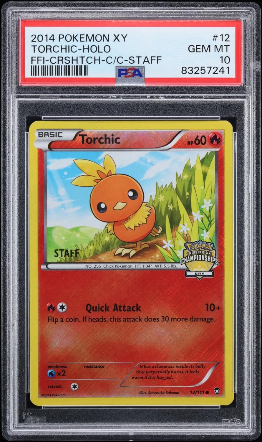 Torchic