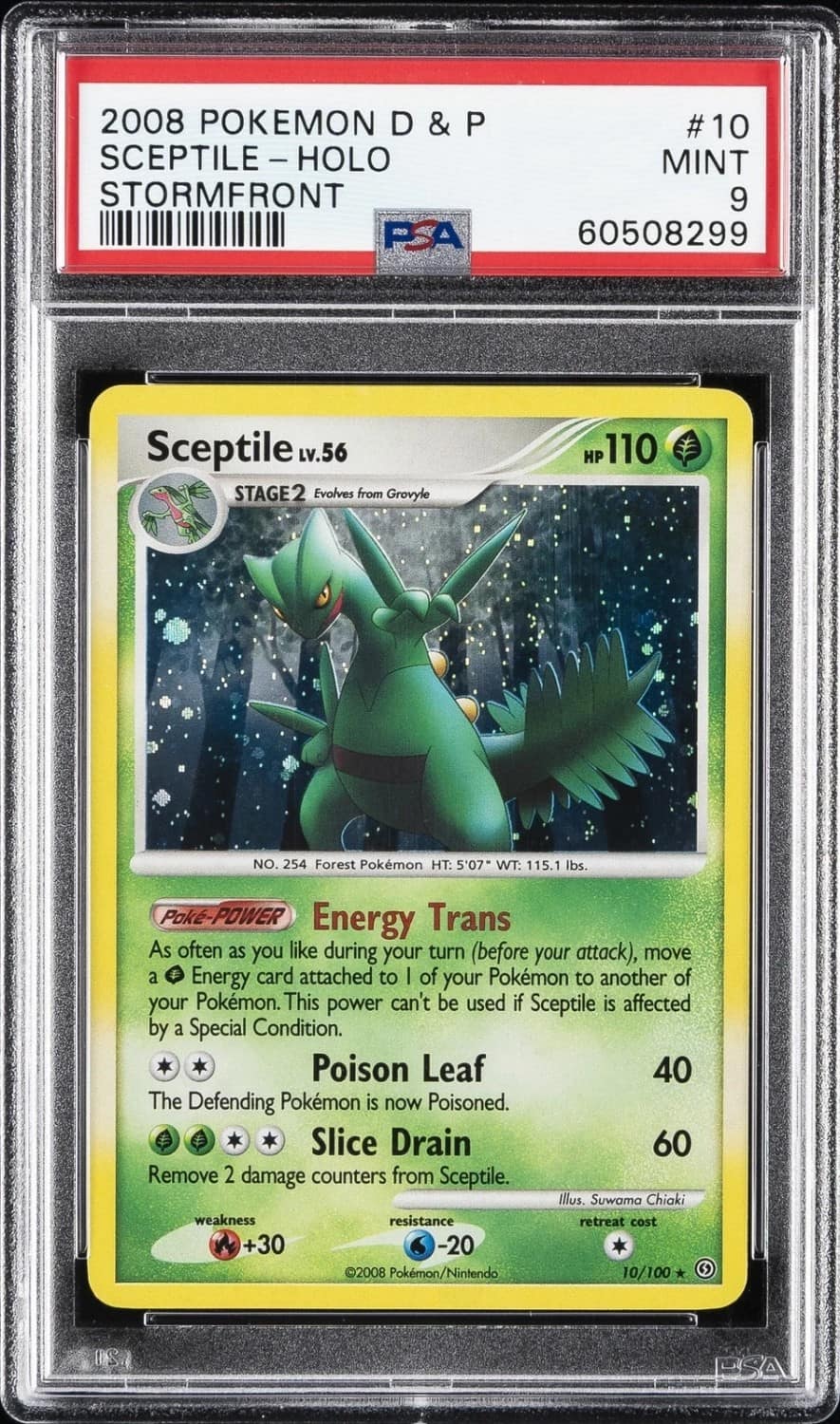 Sceptile