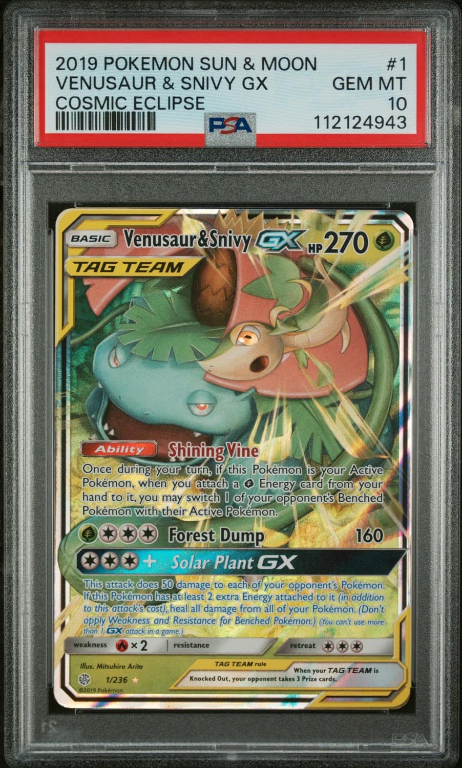Venusaur & Snivy Gx