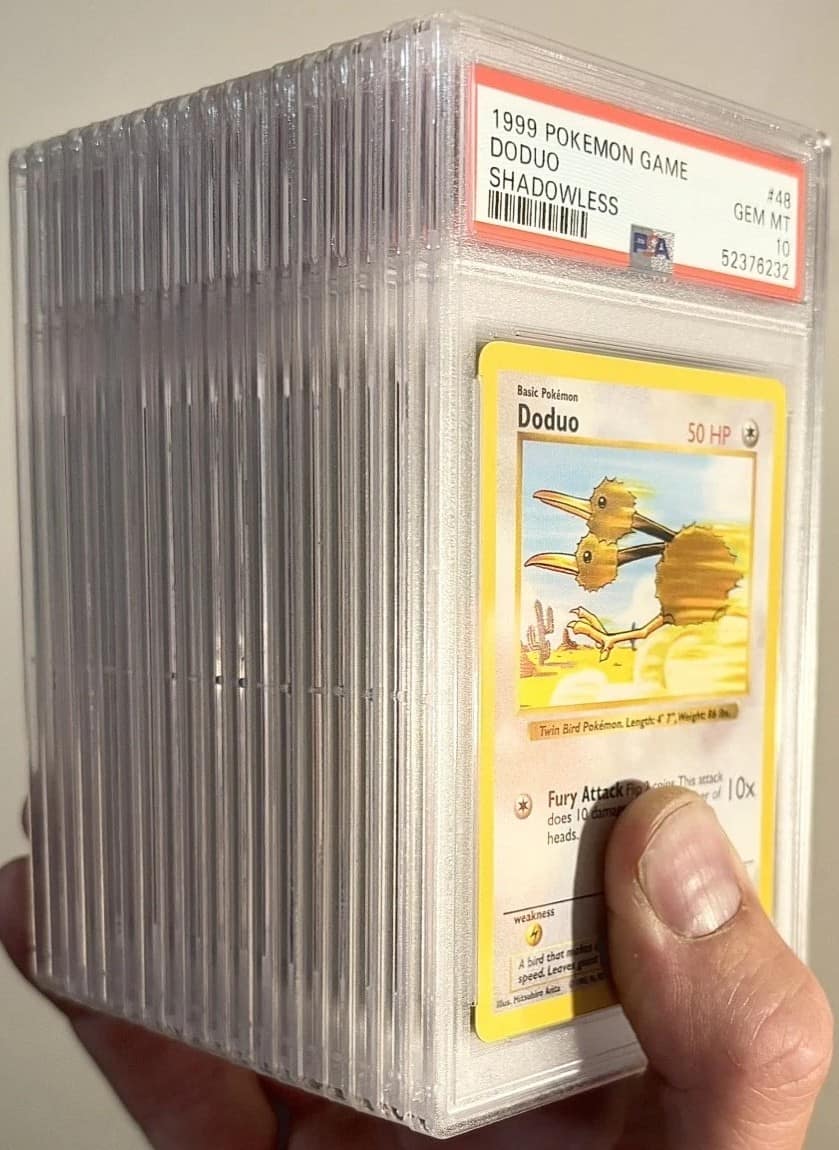 Doduo