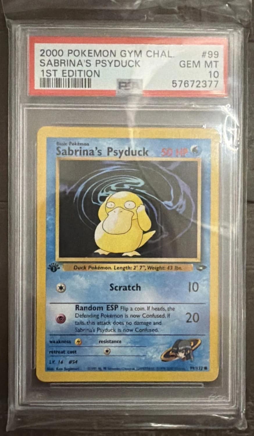 Sabrina'S Psyduck