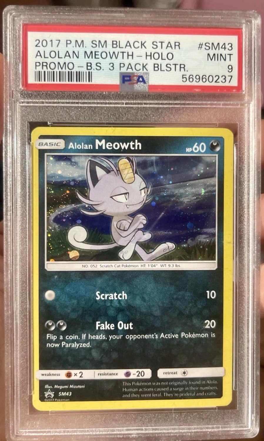 Alolan Meowth