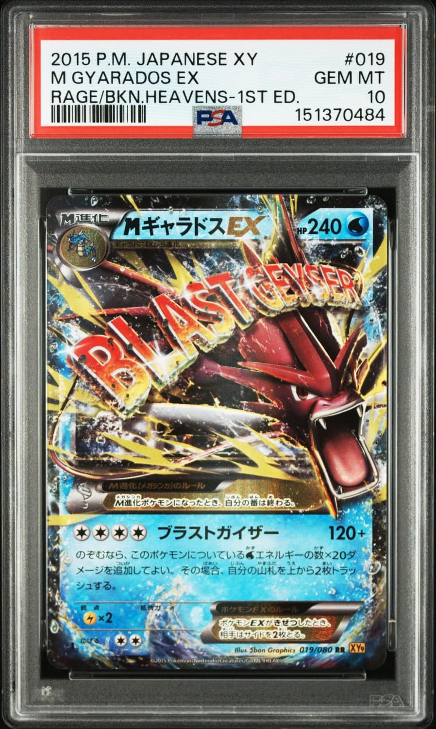 M Gyarados Ex