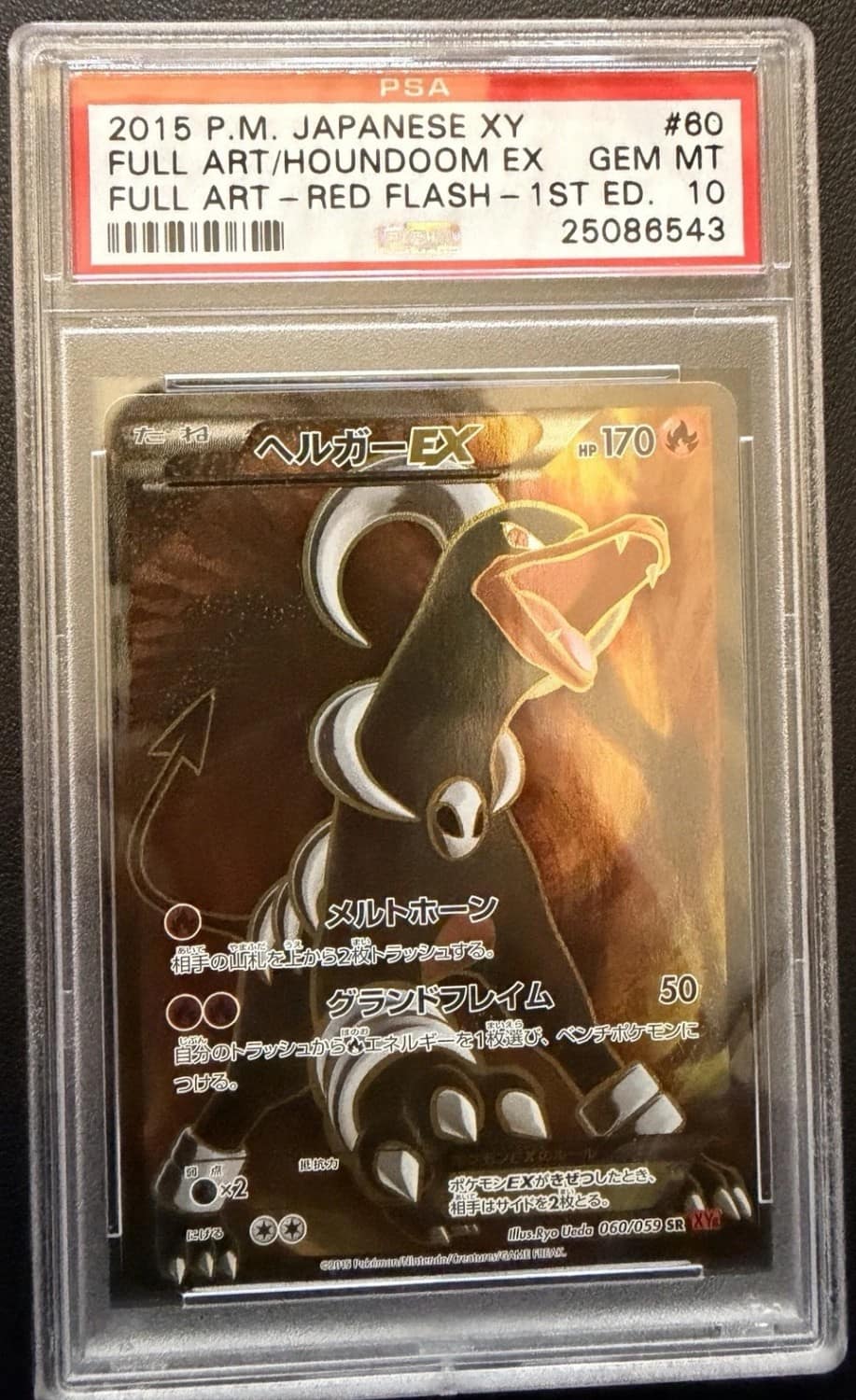 Houndoom Ex
