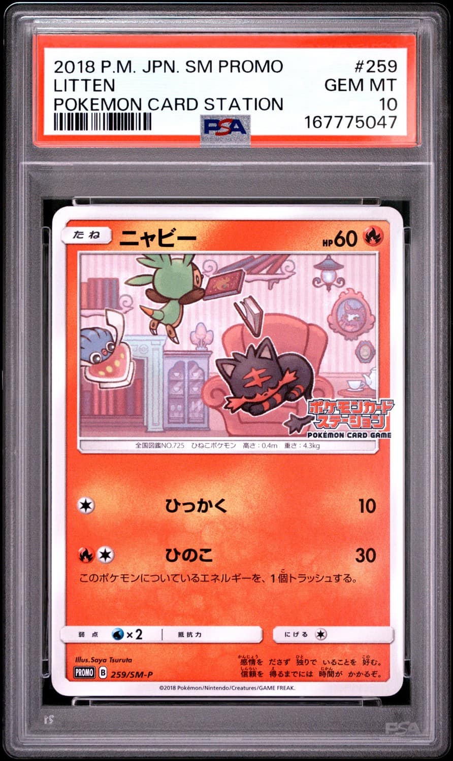 Litten