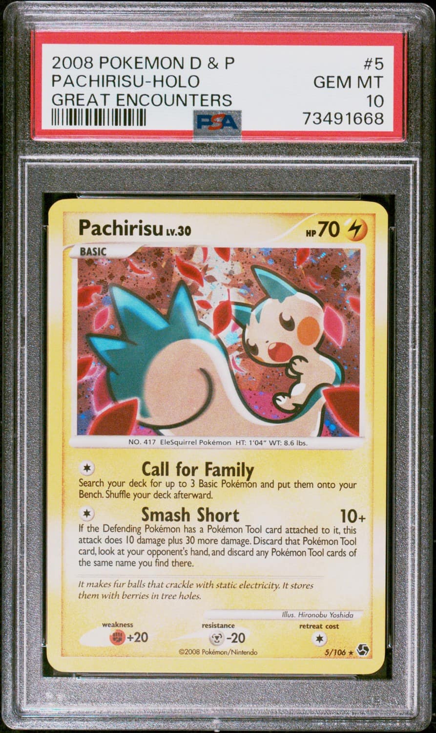 Pachirisu