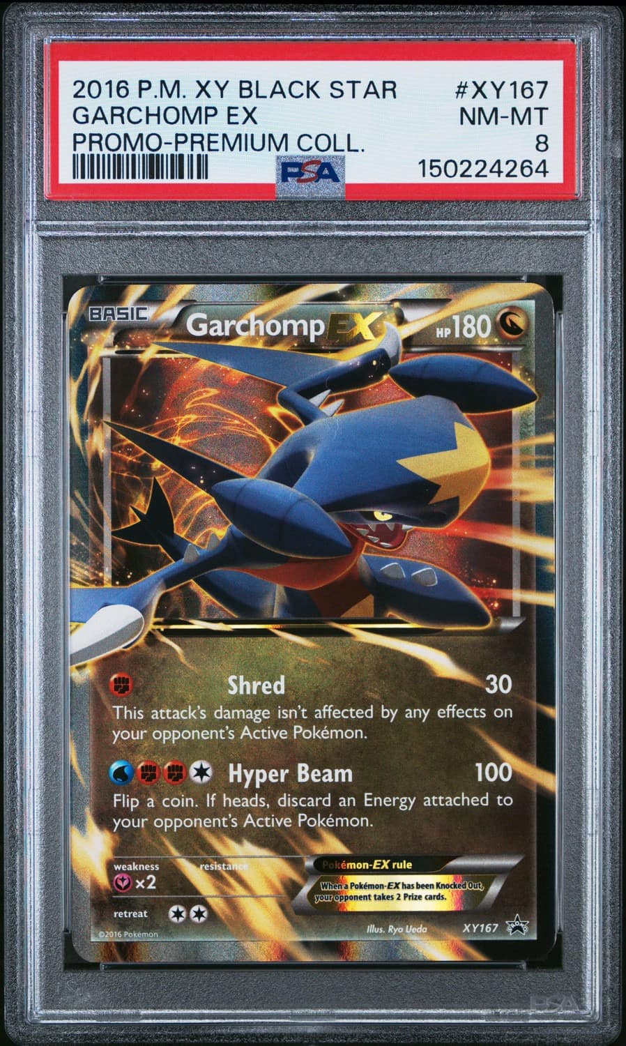 Garchomp Ex