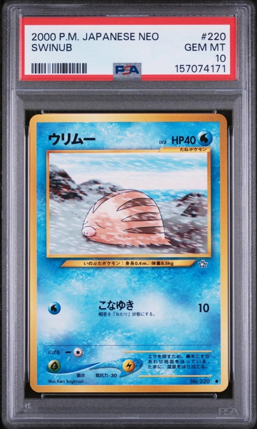 Swinub