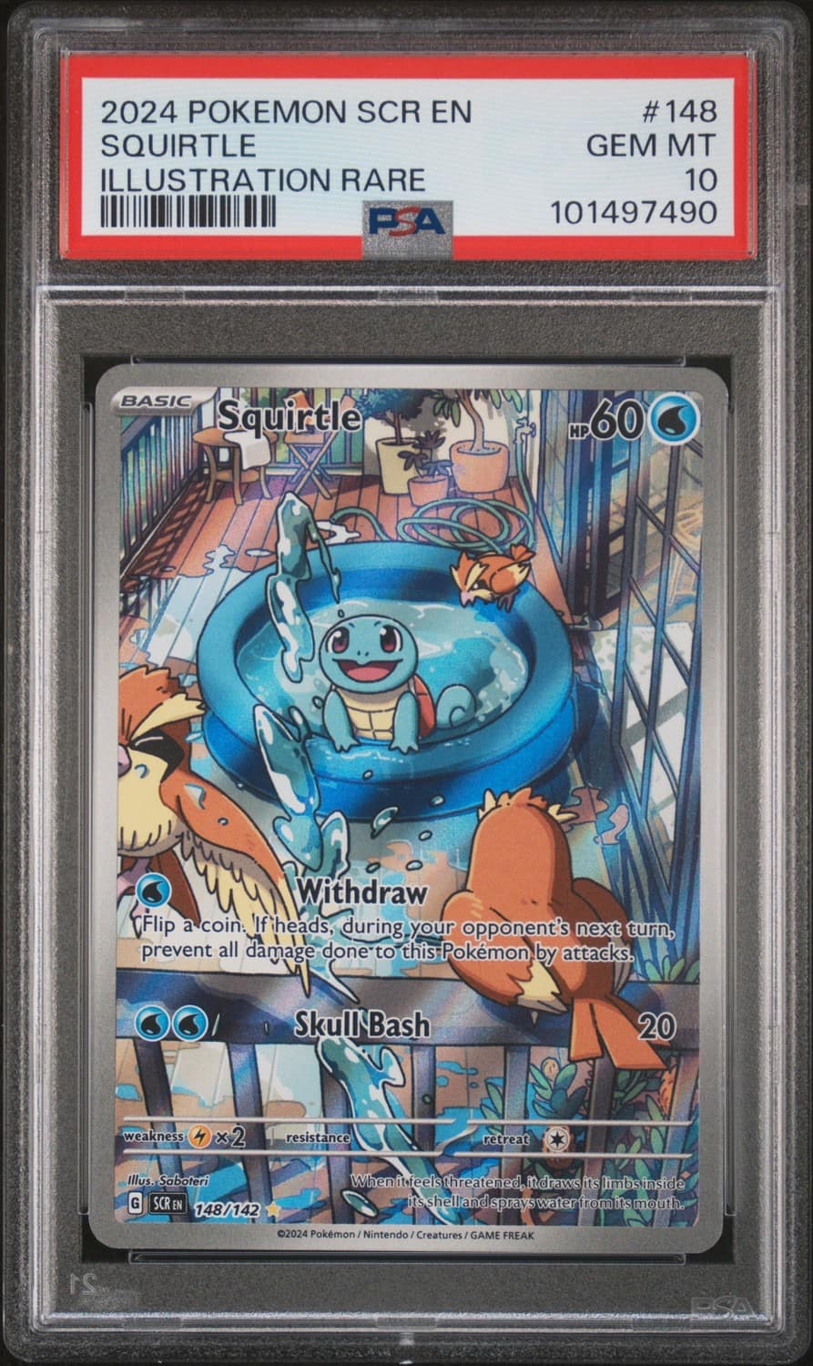 Squirtle