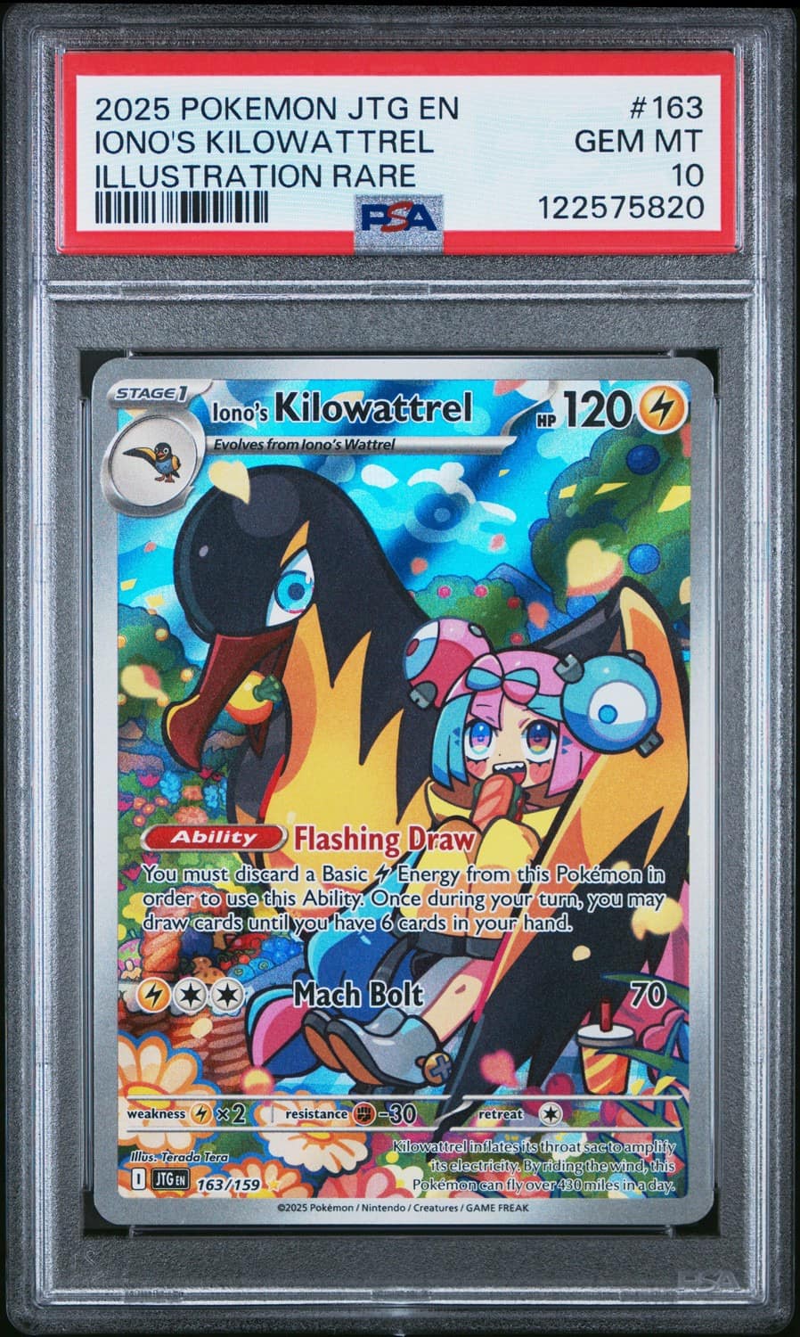 Iono'S Kilowattrel