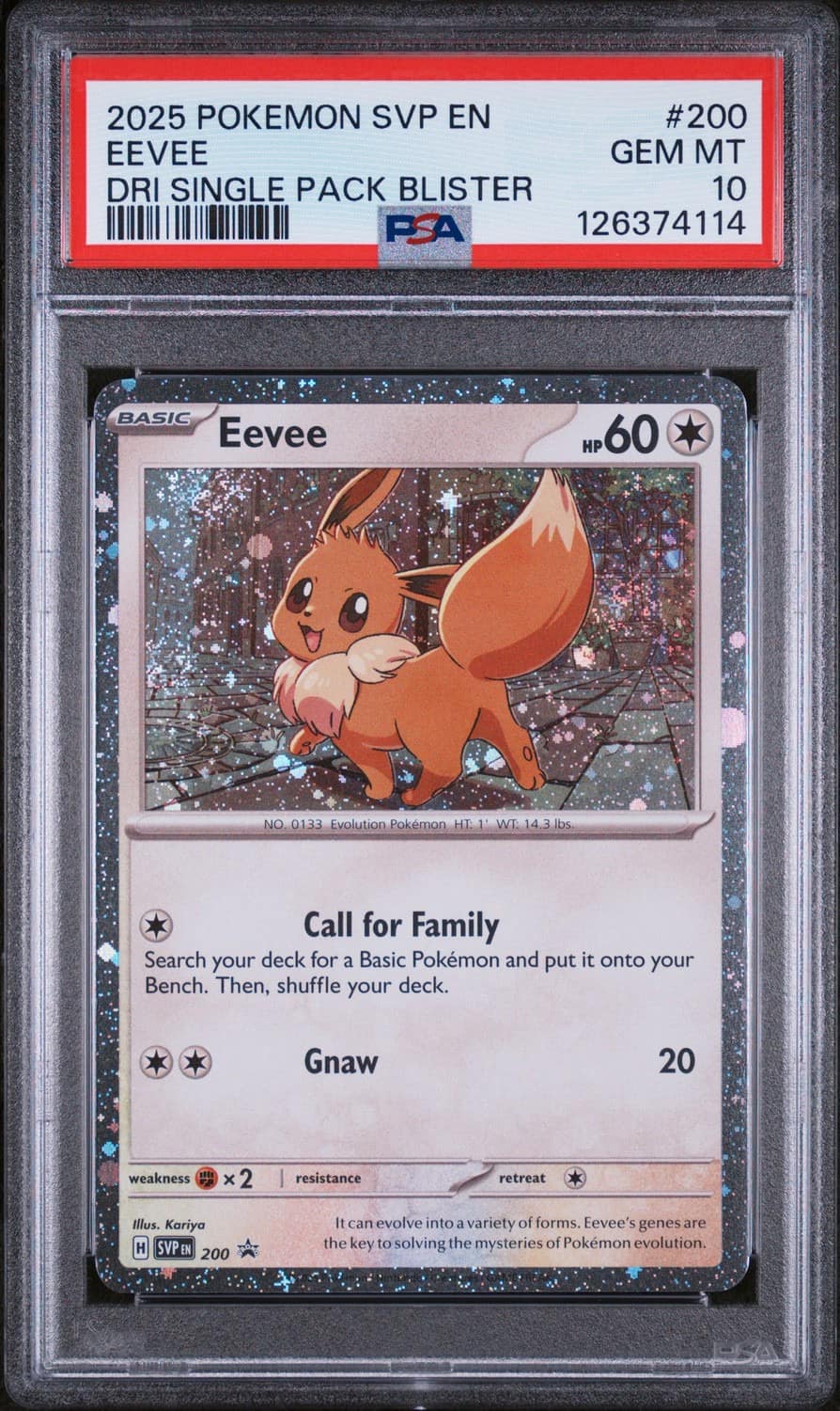 Eevee