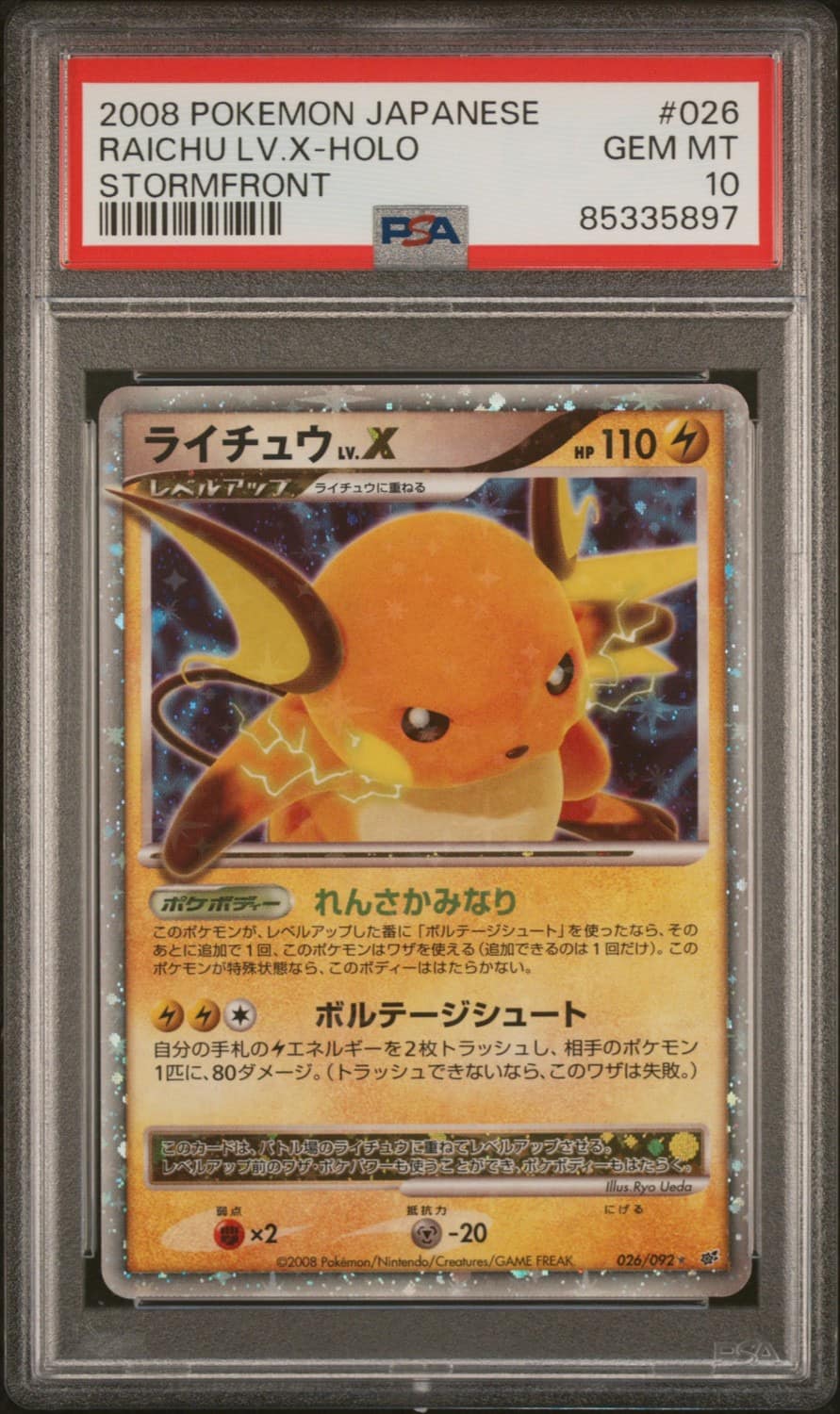 Raichu Lv.x