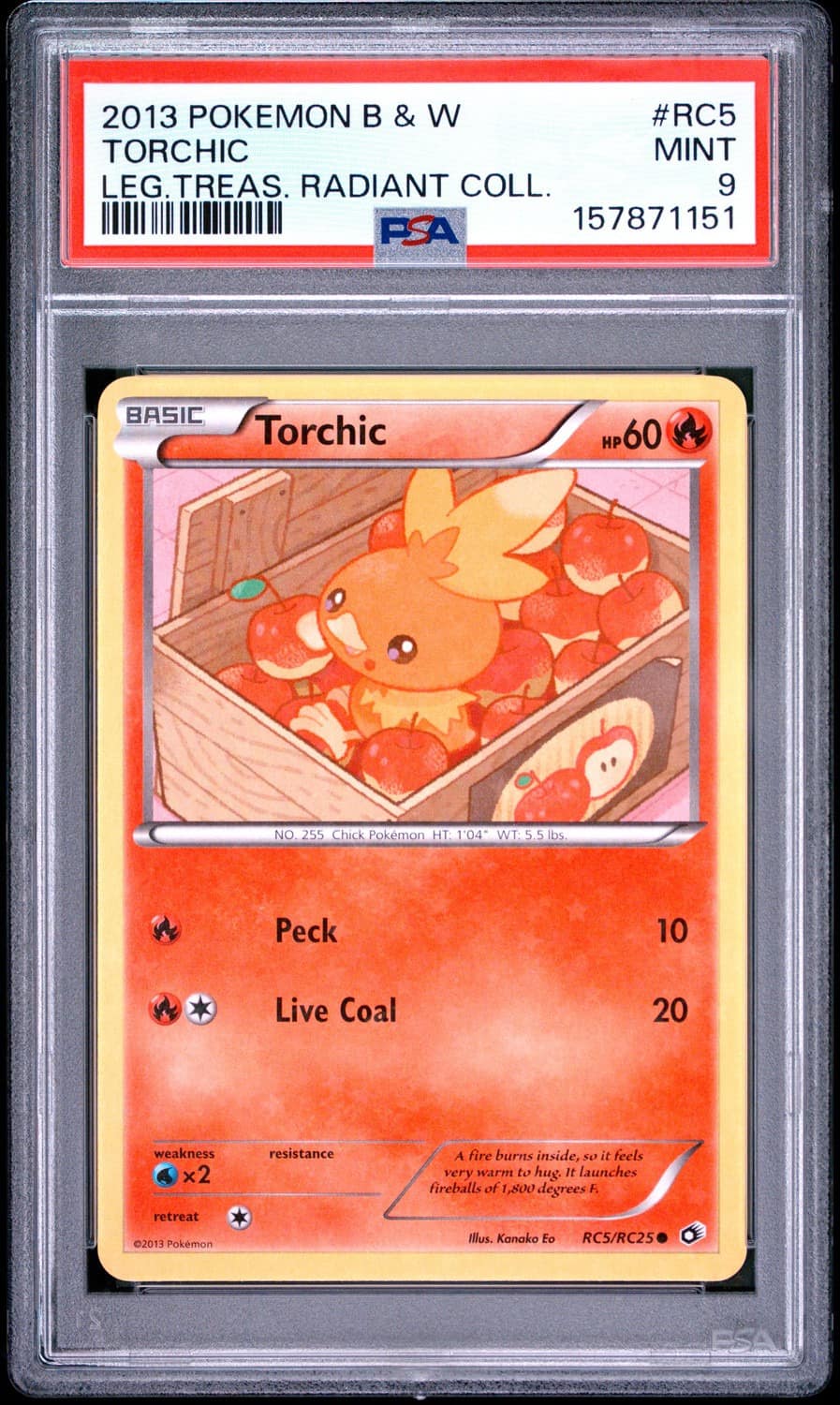 Torchic