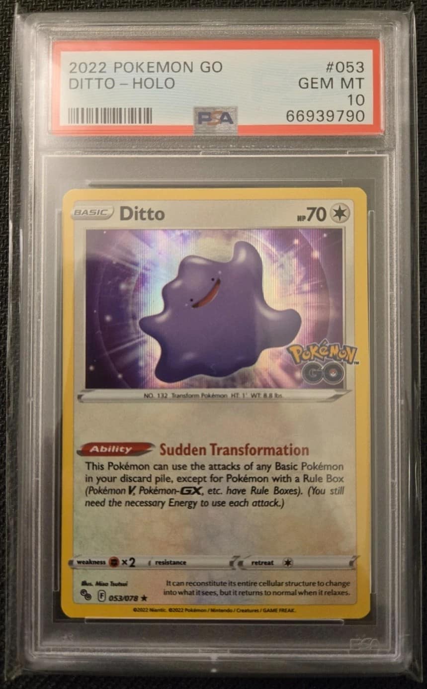 Ditto