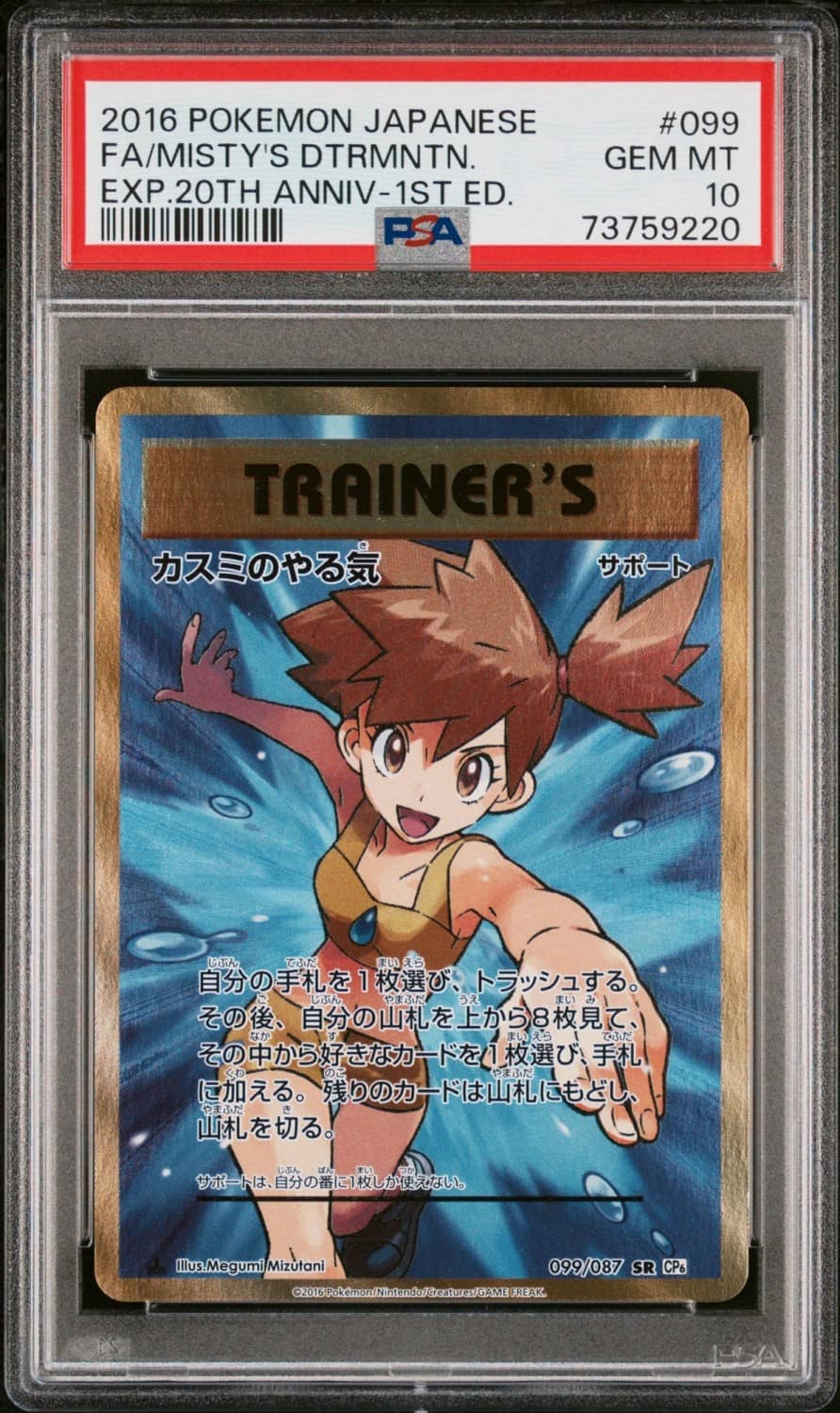 Misty'S Determination