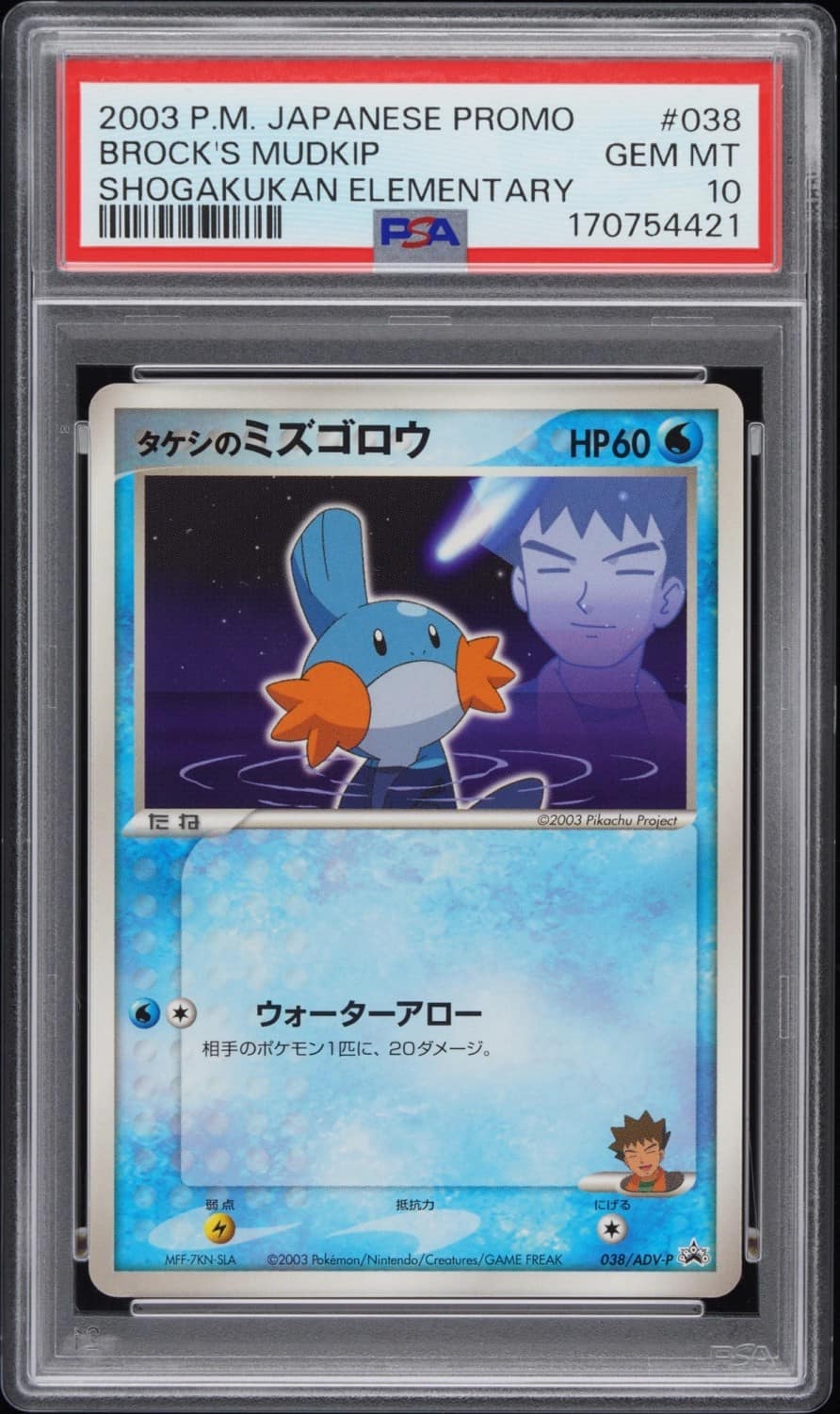 Brock'S Mudkip