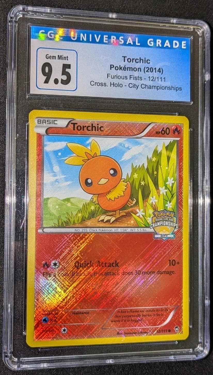 Torchic