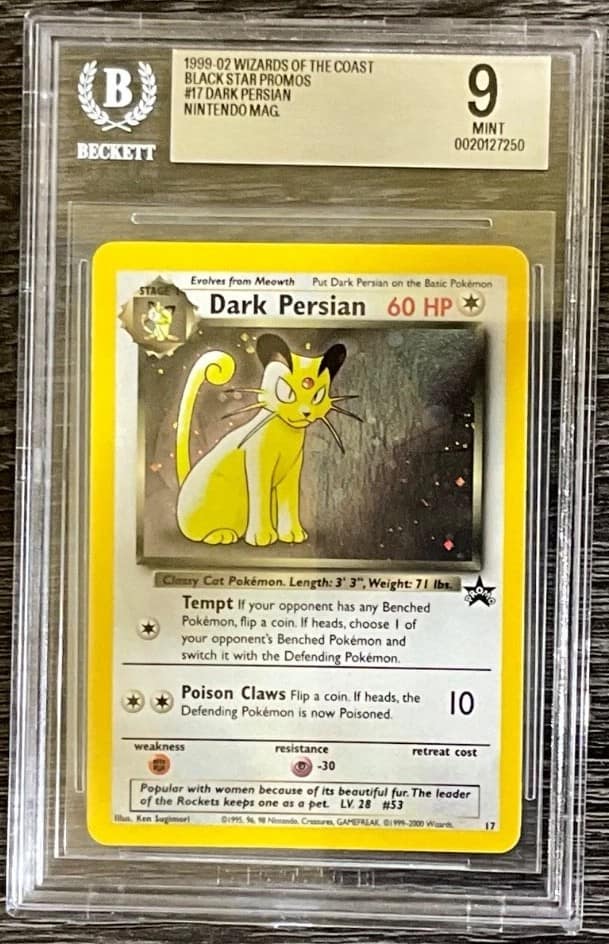Dark Persian