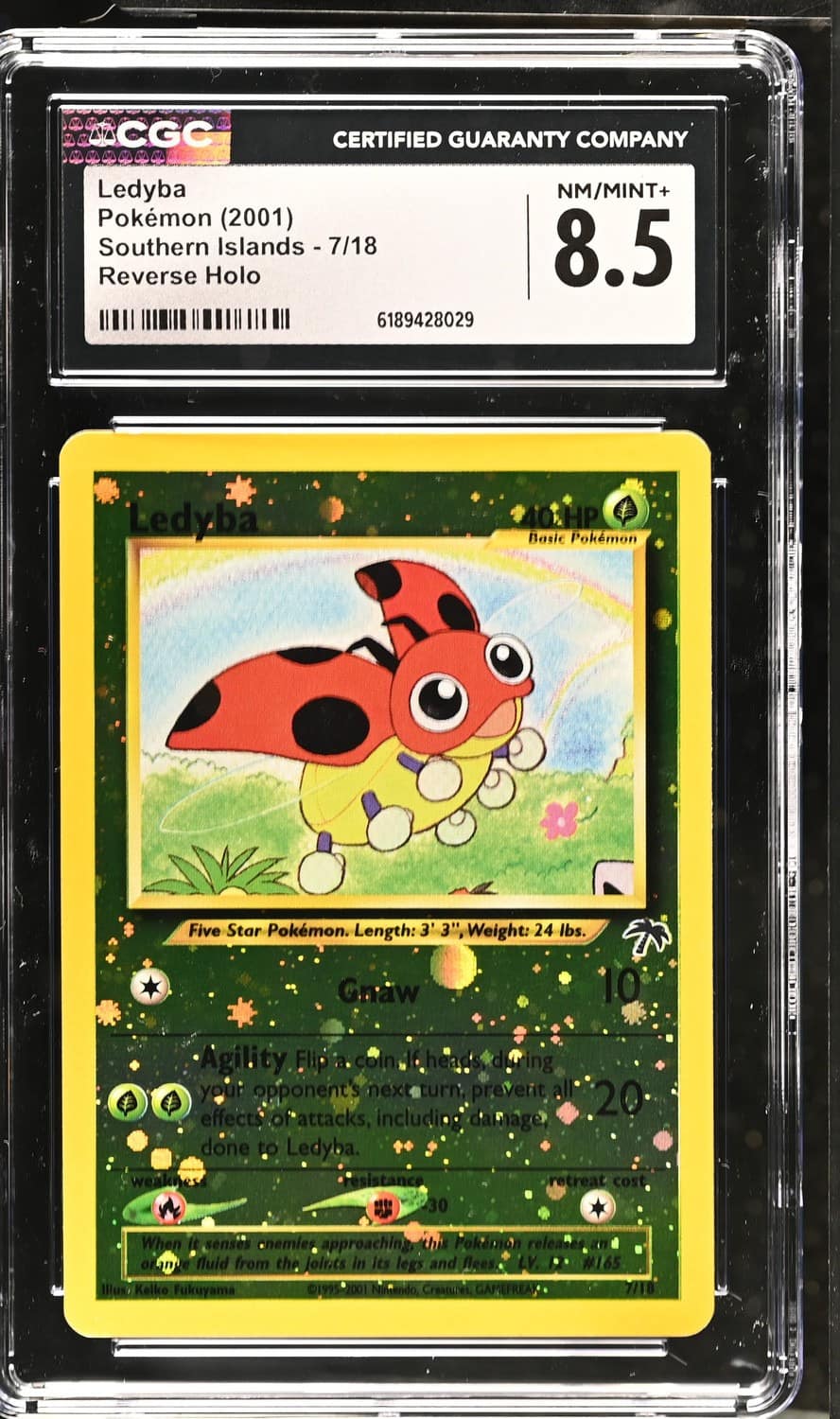Ledyba