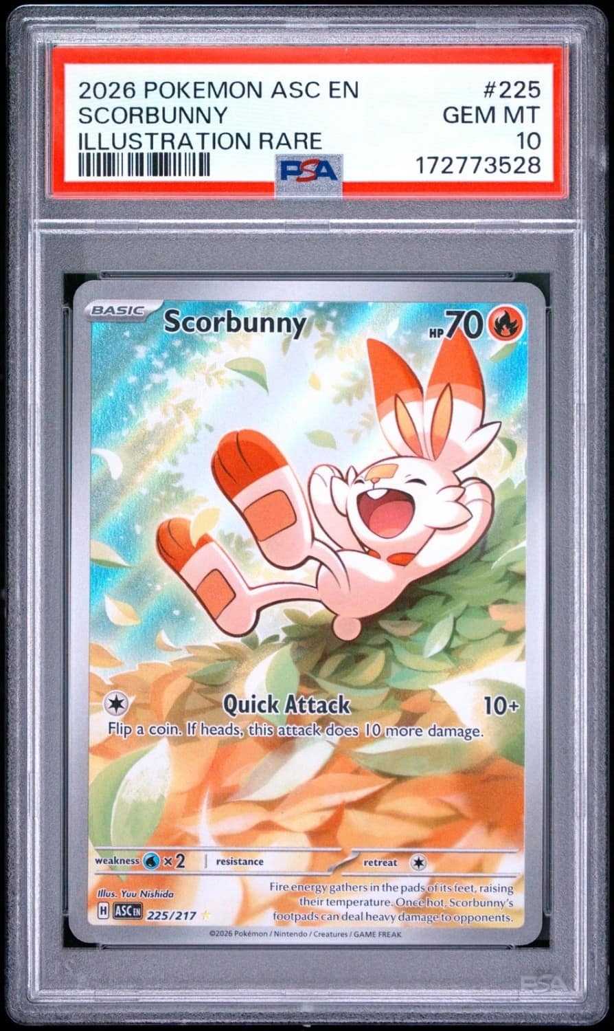 Scorbunny