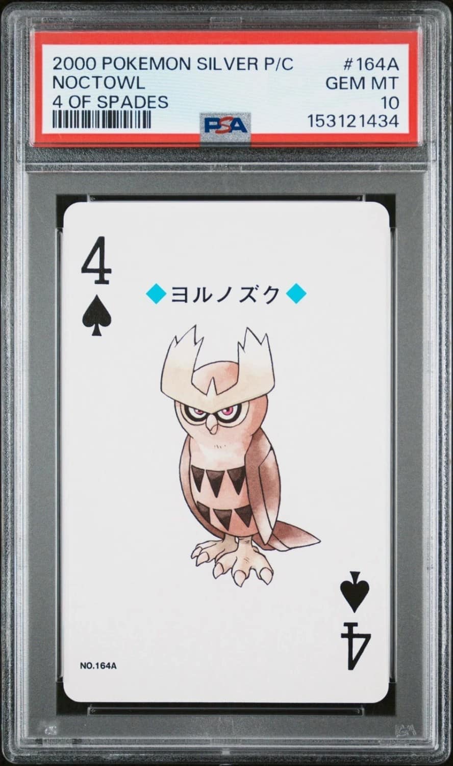 Noctowl