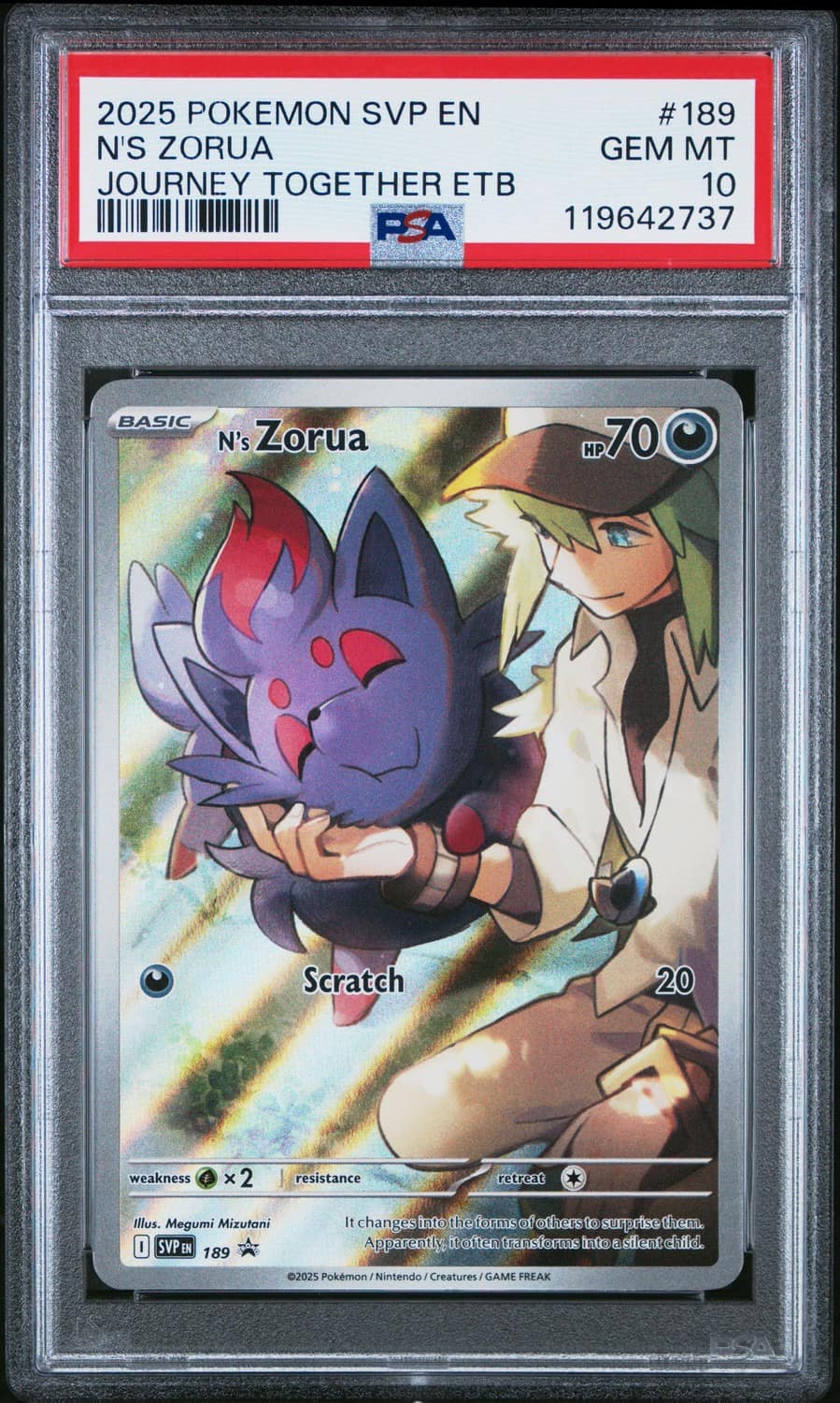 N'S Zorua